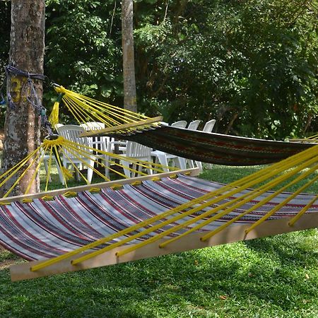 Jungle Beach Hostel Unawatuna Bagian luar foto