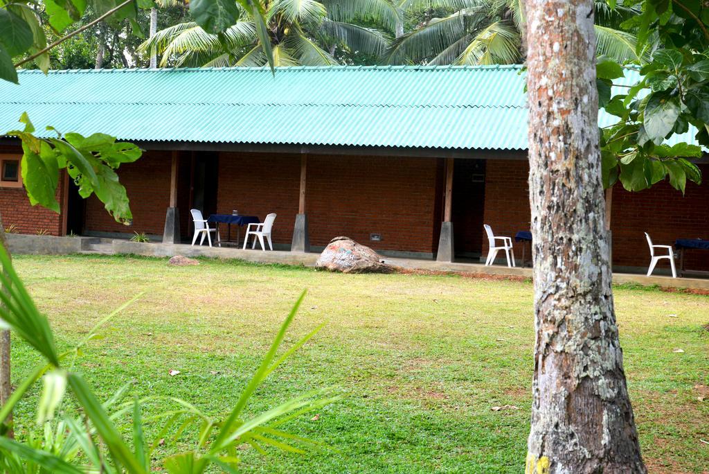 Jungle Beach Hostel Unawatuna Bagian luar foto