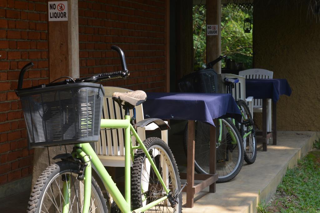 Jungle Beach Hostel Unawatuna Bagian luar foto